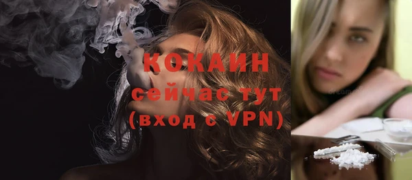 сатива Армянск