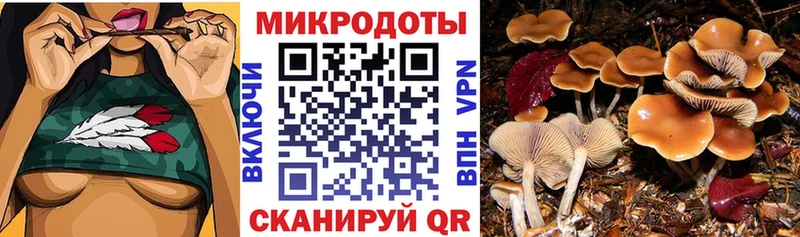 купить закладку Заполярный Псилоцибиновые грибы GOLDEN TEACHER