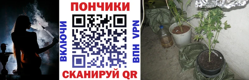 даркнет Telegram  Заполярный  Канабис THC 21% 